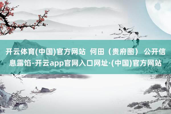 开云体育(中国)官方网站  何田（贵府图） 公开信息露馅-开云app官网入口网址·(中国)官方网站